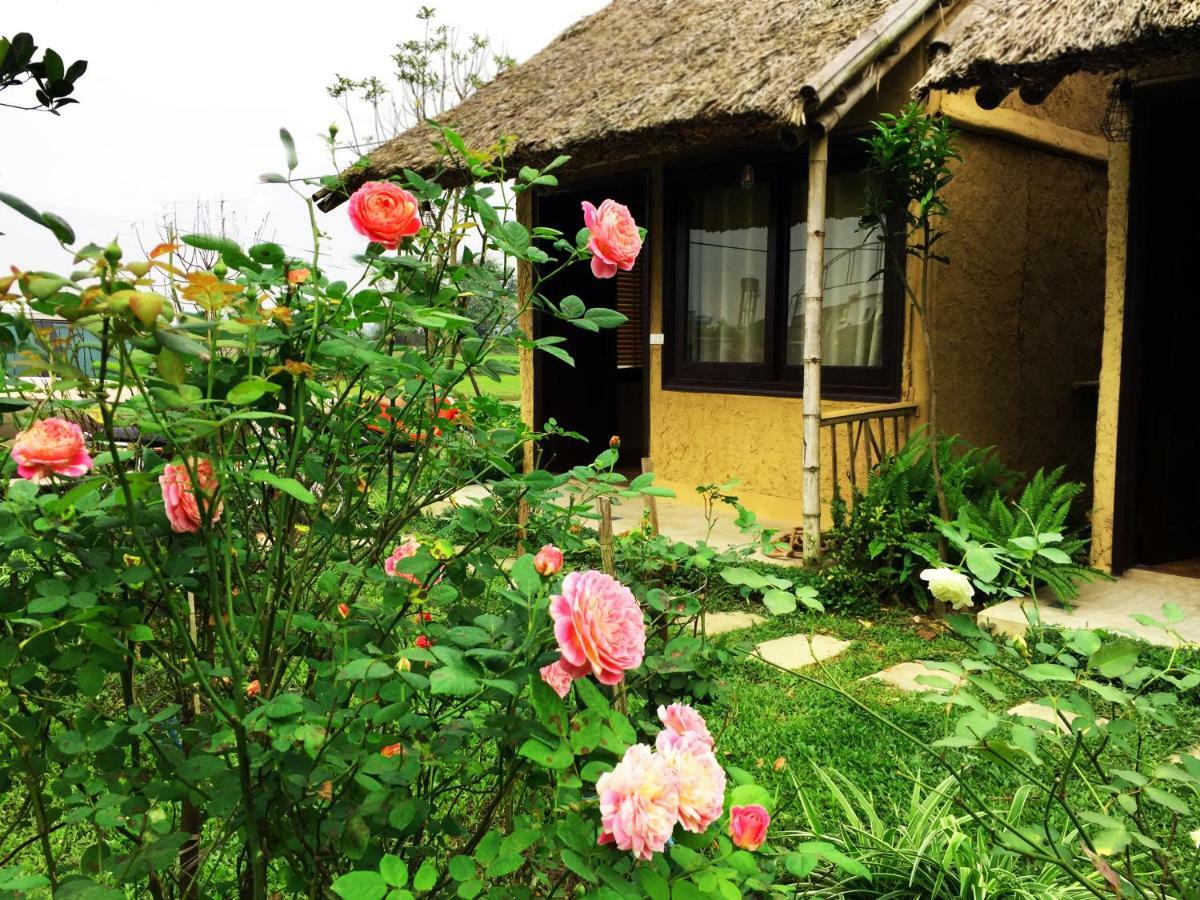 May Homestay - Tam Coc Local Village Ninh Binh Buitenkant foto