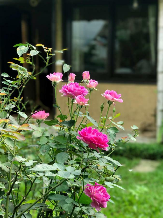 May Homestay - Tam Coc Local Village Ninh Binh Buitenkant foto