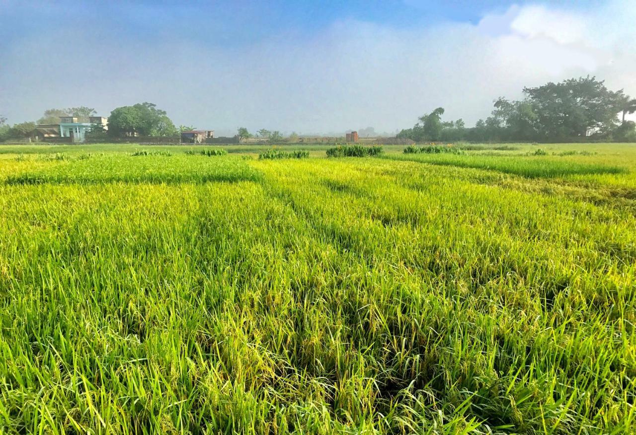 May Homestay - Tam Coc Local Village Ninh Binh Buitenkant foto