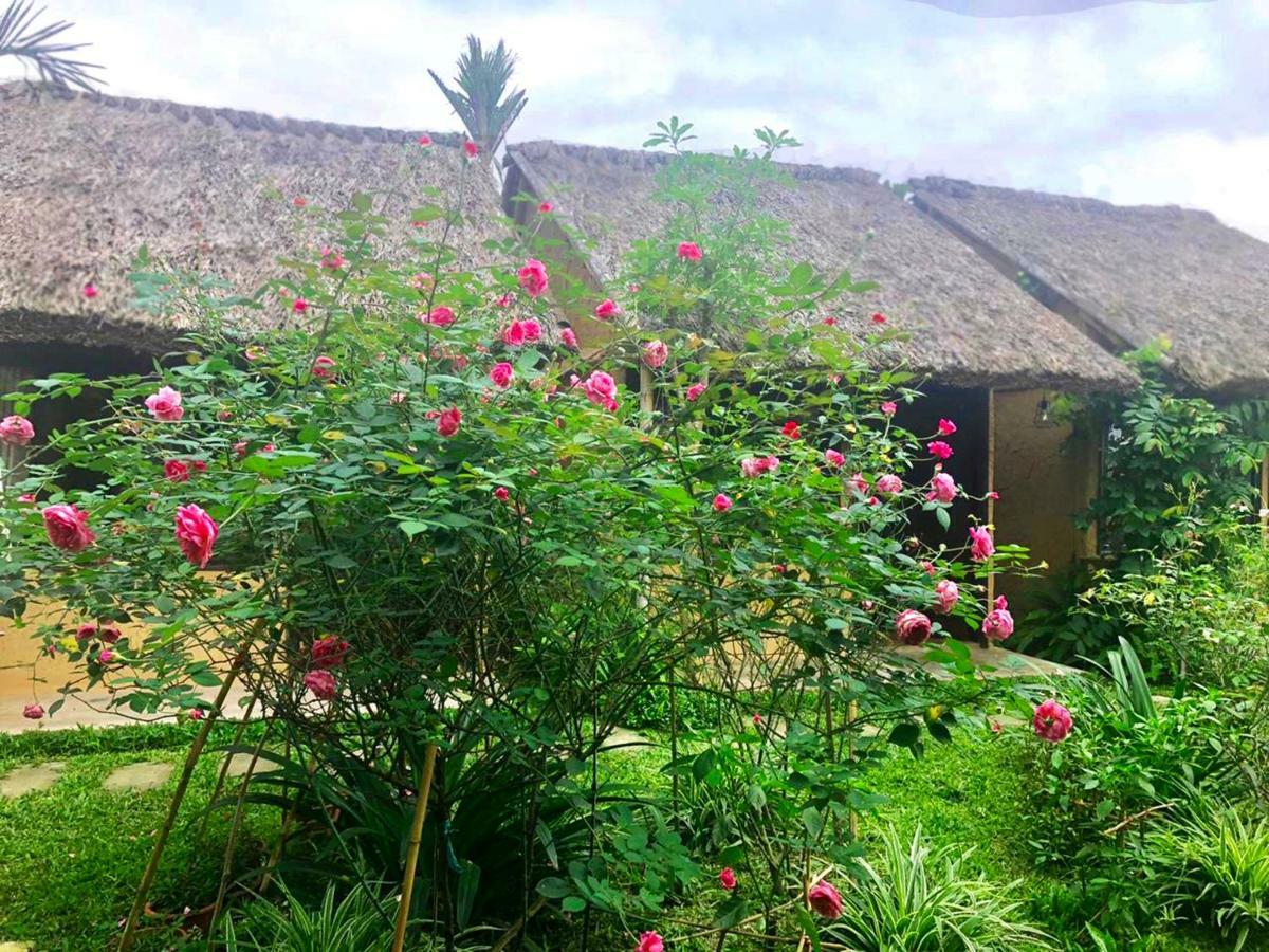 May Homestay - Tam Coc Local Village Ninh Binh Buitenkant foto